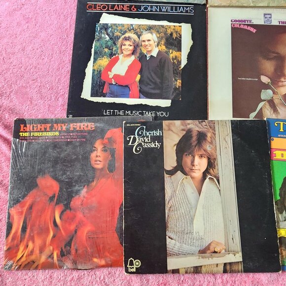 Vinyl Record Lot of 16 Vintage 60s 70s Pop Folk Rock Misc Lps 12" Vtg LP Records - Picture 2 of 7